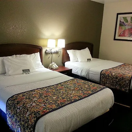 Motel 6 Tampa Fl